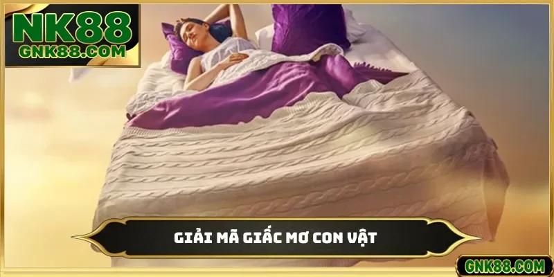 Giải mã giấc mơ con vật