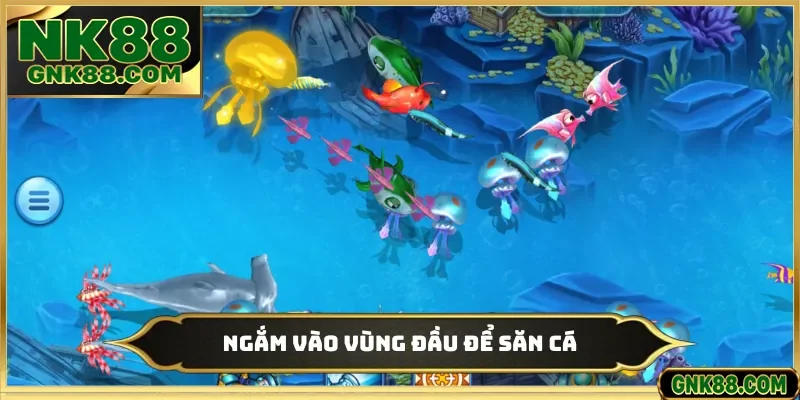 Ngắm vào vùng đầu để săn cá