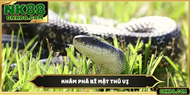 Khám phá bí mật thú vị