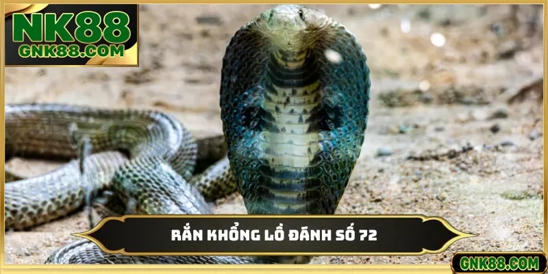 Rắn khổng lồ đánh số 72